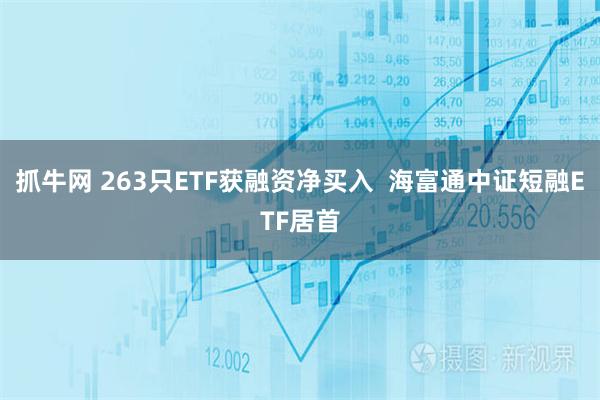抓牛网 263只ETF获融资净买入  海富通中证短融ETF居首