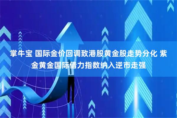 掌牛宝 国际金价回调致港股黄金股走势分化 紫金黄金国际借力指数纳入逆市走强
