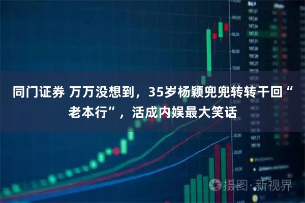 同门证券 万万没想到，35岁杨颖兜兜转转干回“老本行”，活成内娱最大笑话